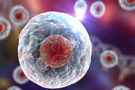 Babio uvádí na trh vysoce kvalitní roztok Giemsa skvrny B pro pokročilé cytogenetické a hematologické diagnostiky