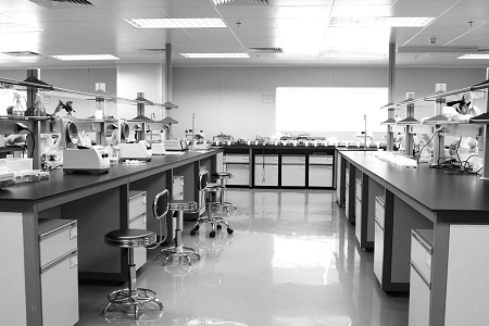 Babio Salmonella Shigella Agar: Spolehlivé médium pro bezpečnost potravin a klinickou diagnostiku