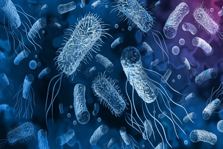 Představujeme jednorázový sterilní cytologický cervikální kartáček Baibo Biotechnology: přesnost v gynekologickém testování