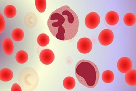 BABIO Salmonella Shigella Transportní médium pro laboratoře